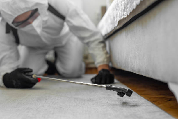 Professional Bed Bug Control technician working in Mentone, IN
